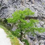 Rural Picos De Europa 酒店