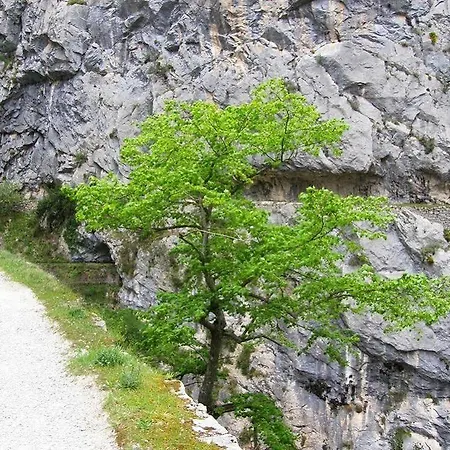 Rural Picos De Europa Hotel