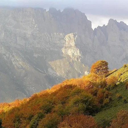 Rural Picos De Europa