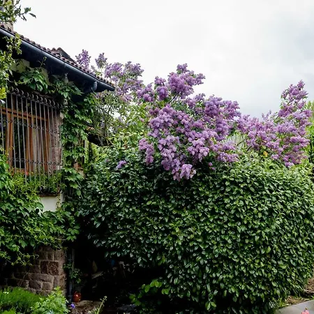 Rural Picos De Europa Hotel