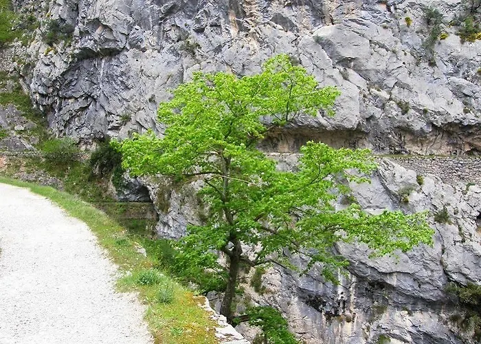 Rural Picos De Europa فندق