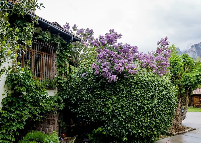 Rural Picos De Europa Hotel